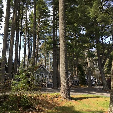 Pine Grove Cottages Lincolnville Zewnętrze zdjęcie