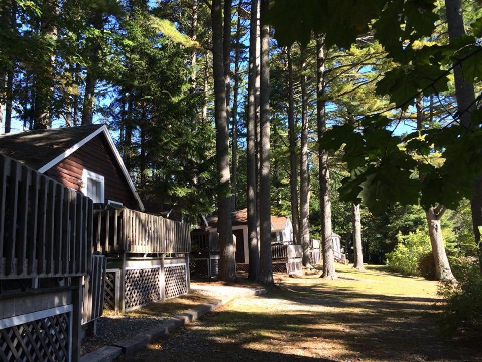 Pine Grove Cottages Lincolnville Zewnętrze zdjęcie