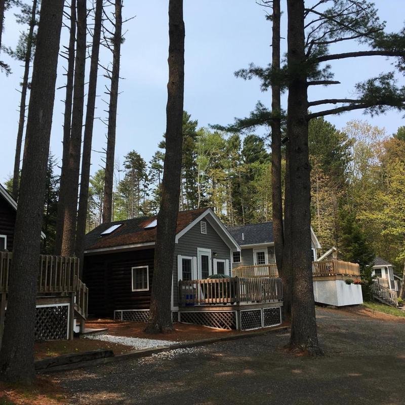 Pine Grove Cottages Lincolnville Zewnętrze zdjęcie